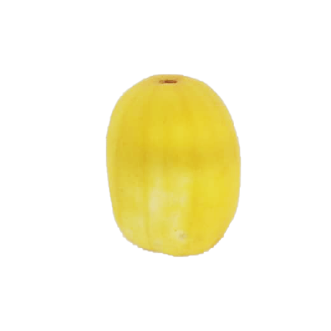 Golden Melon 1 Piece